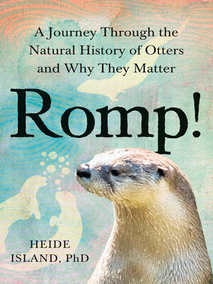 cover image of Romp!